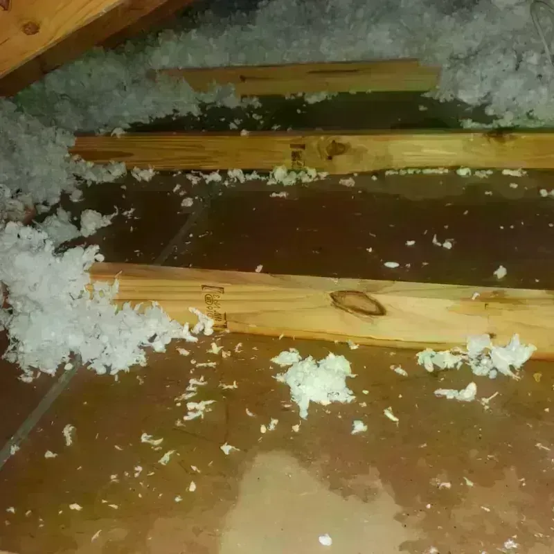 Attic Water Damage in Langhorne, PA